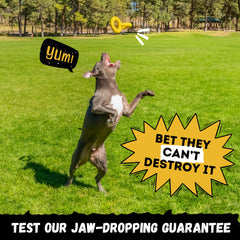 WoofBite Tug Rings lifetime demolish-free guarantee label visible.