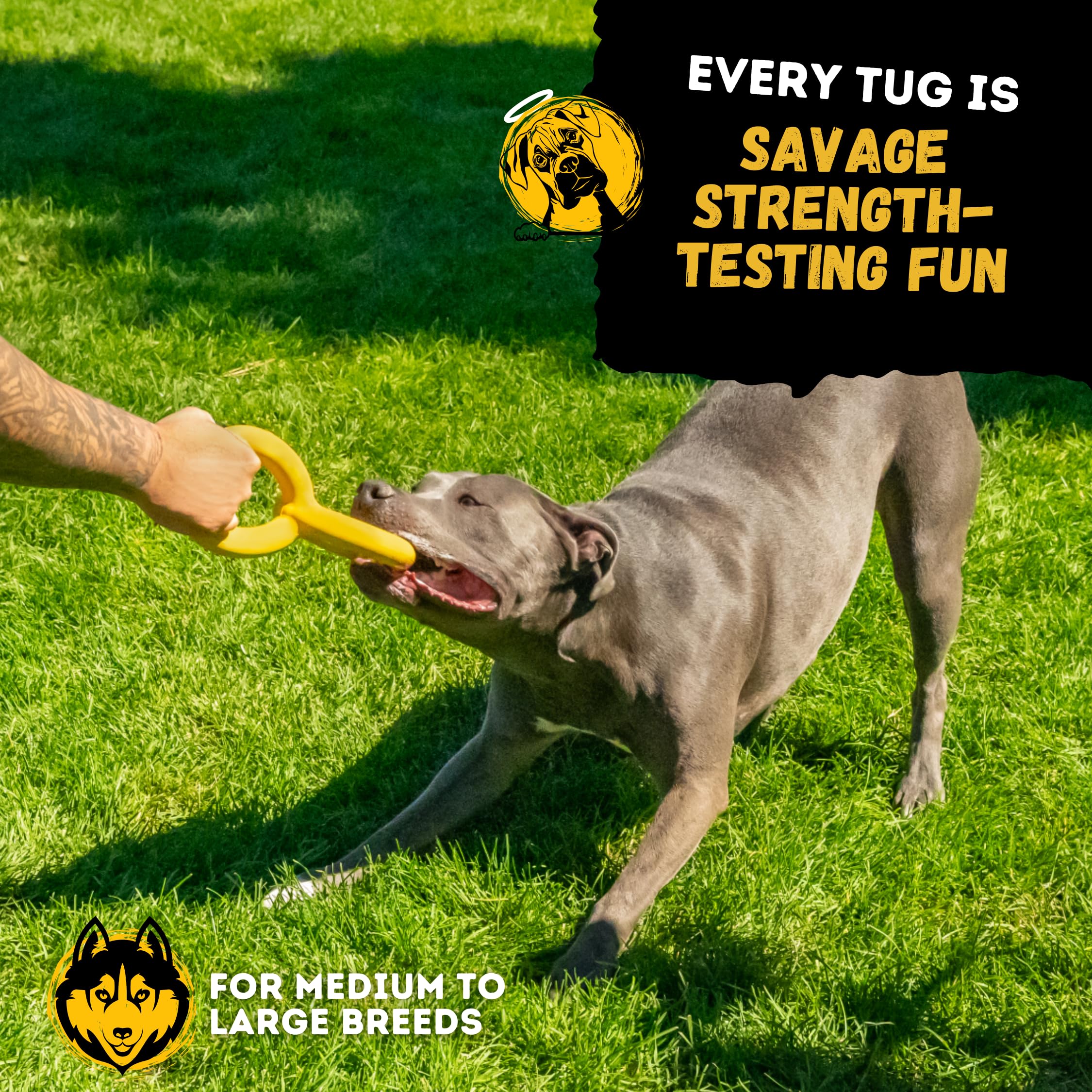 WoofBite Tug Rings bright yellow visibility during outdoor play.