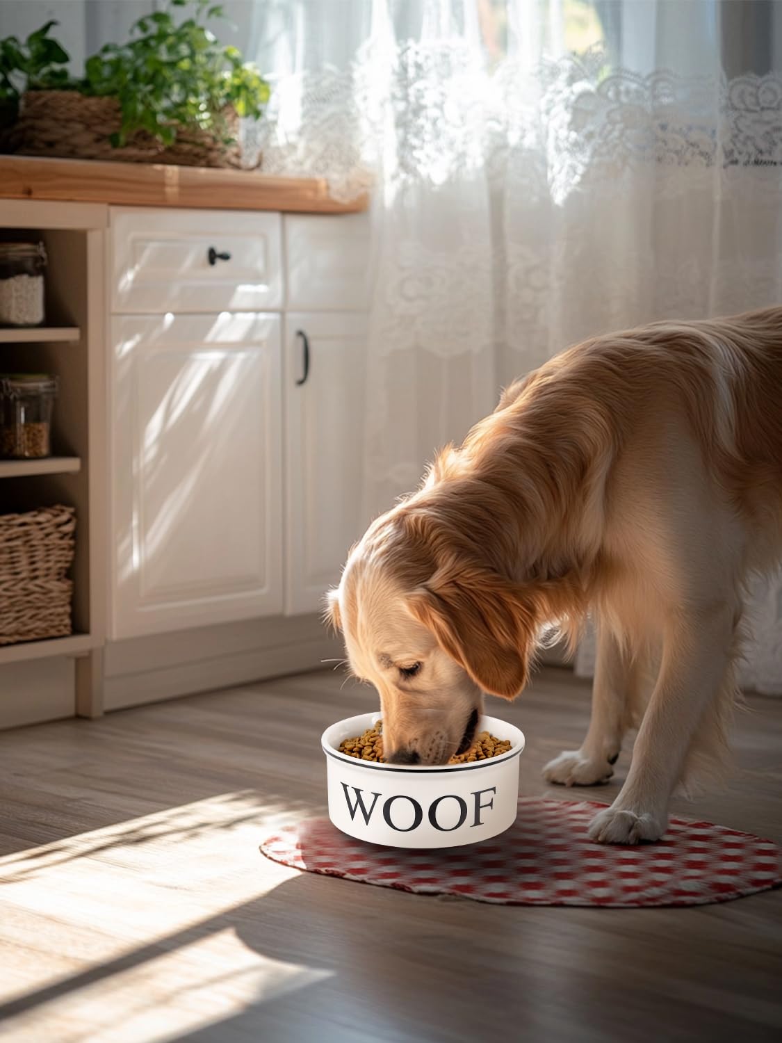 WoofinPets heavy-duty dog bowl resists tipping and spills