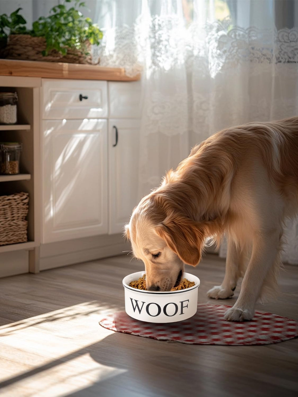 WoofinPets heavy-duty dog bowl resists tipping and spills