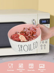 WoofinPets heavy-duty dog bowl shows weight and stability for vigorous eaters.