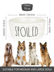 WoofinPets heavy-weight bowl provides stable feeding, reducing bumps during vigorous eating