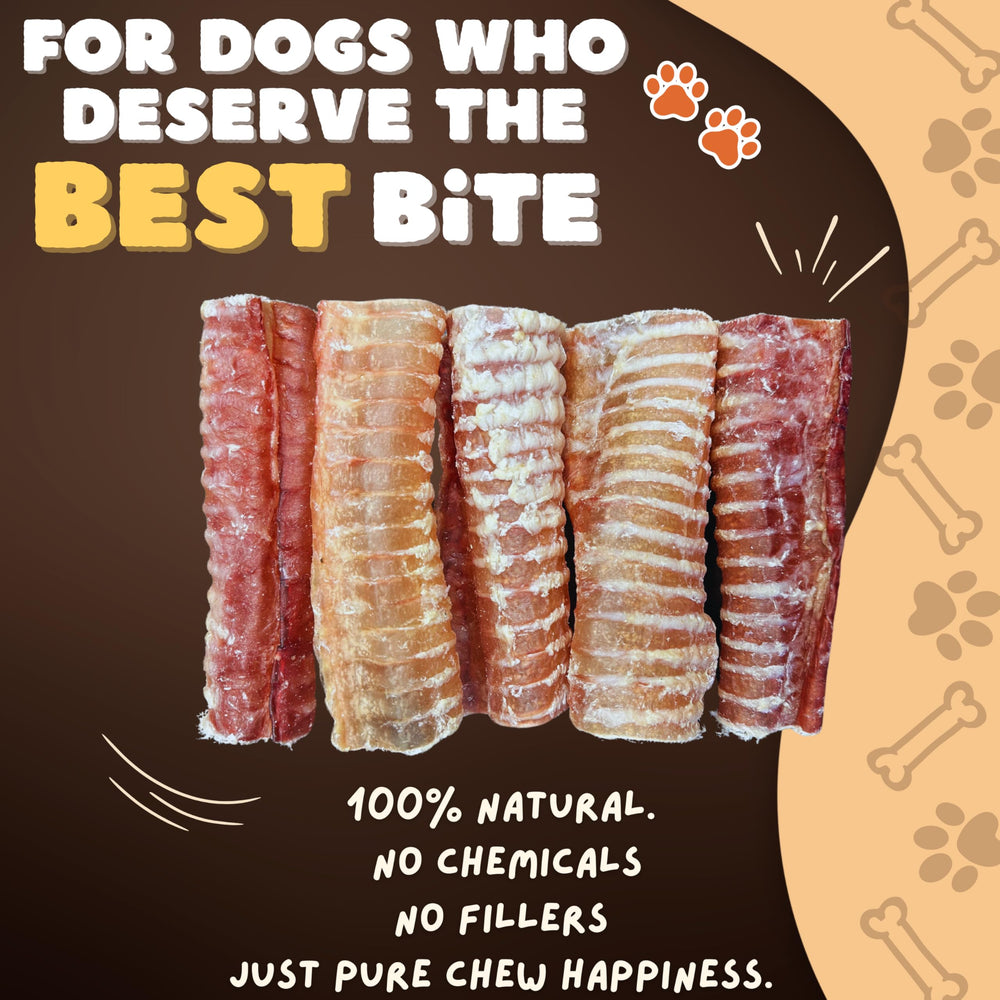 Woofley's Beef Trachea closeup texture highlighting single-ingredient and easily digestible treat.