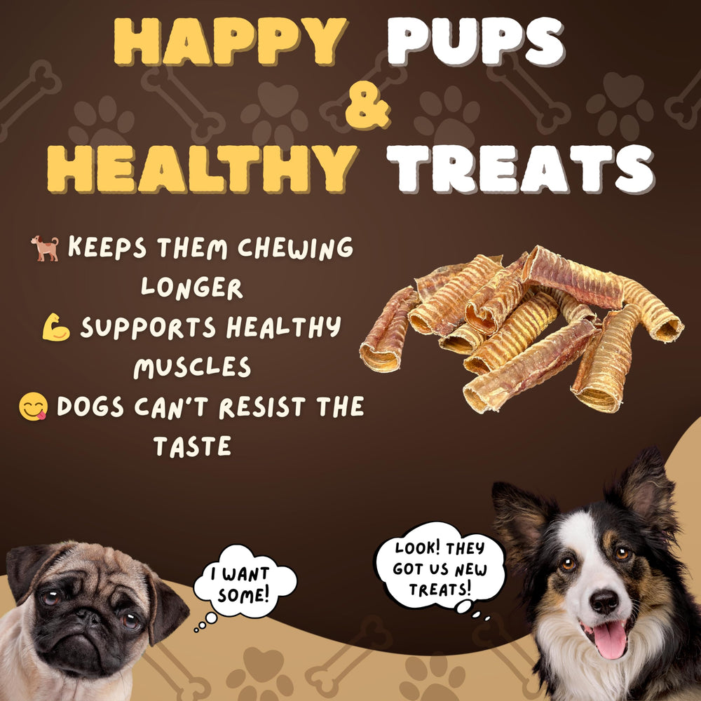 Woofley's Beef Trachea reward shot illustrating high-protein chew for dogs.