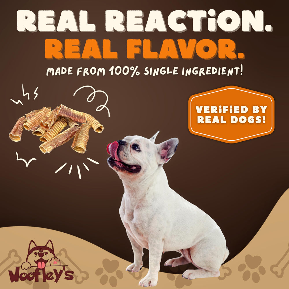 Woofley's Beef Trachea 6-Inch chew with joint-friendly nutrients highlighted on label.