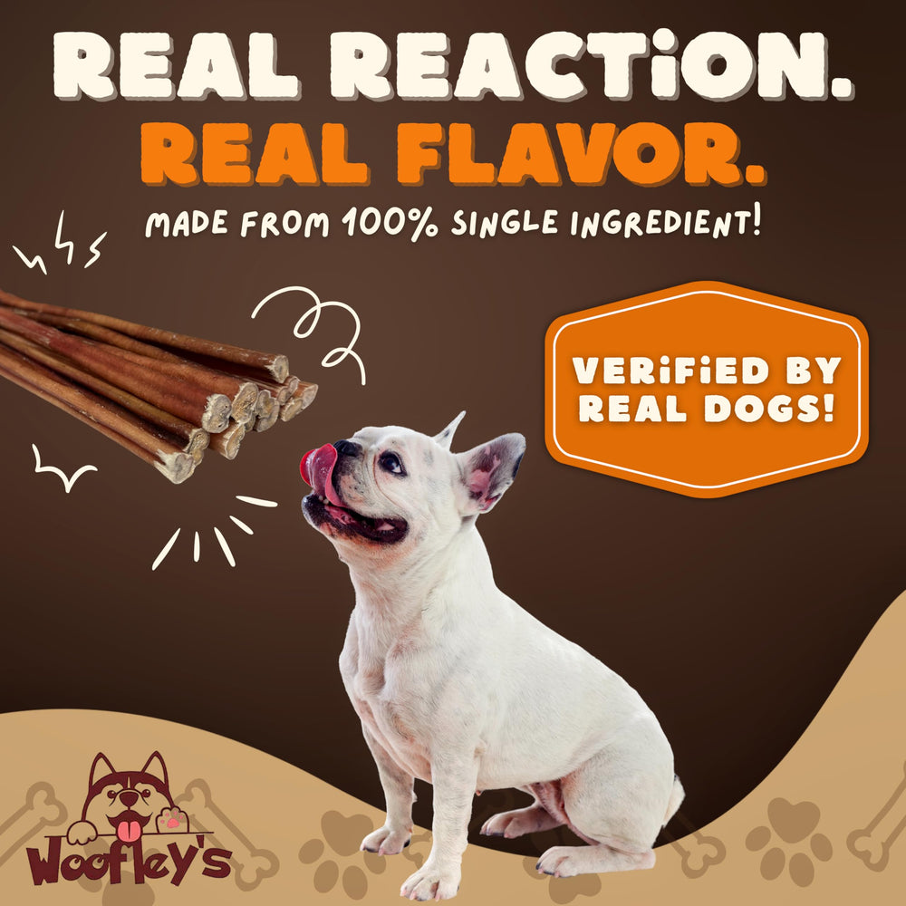Woofley's bully stick serves as a rawhide alternative for durable chewing.