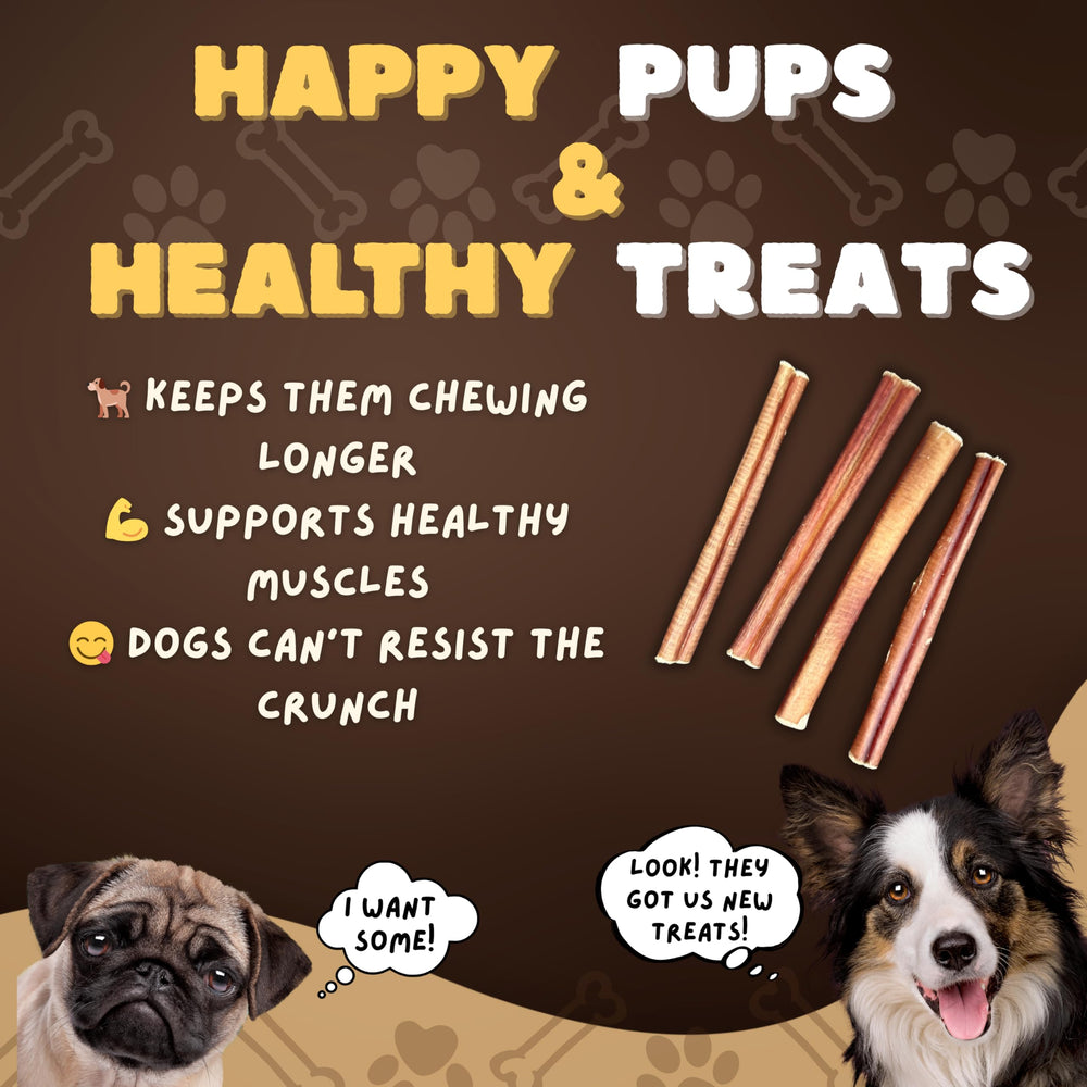 Woofley's bully sticks natural alternative to rawhide digestible and safe