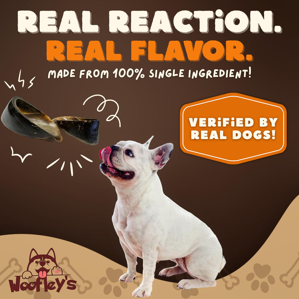 Woofley's Cow Hooves dental health focus during chewing activity