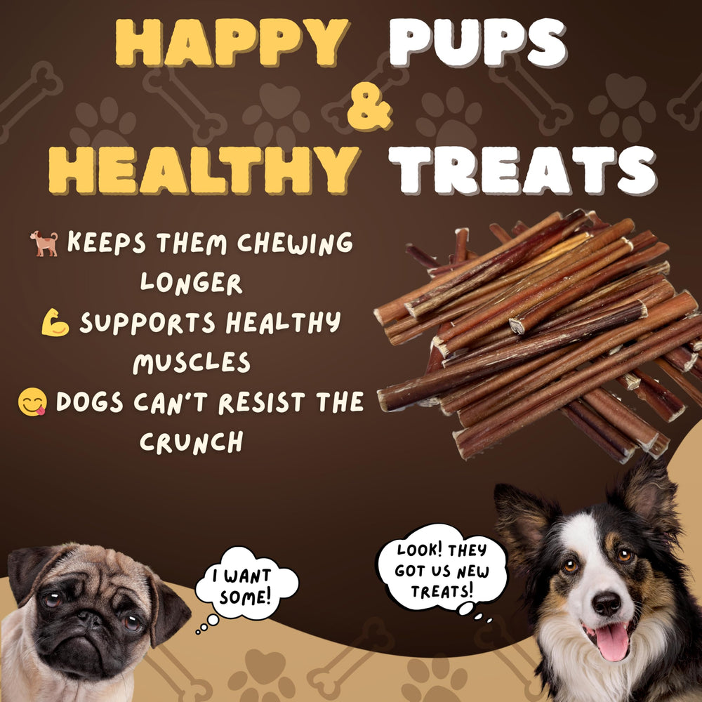 Woofley's dog chew time in the living room demonstrates relaxed, engaged chewing.