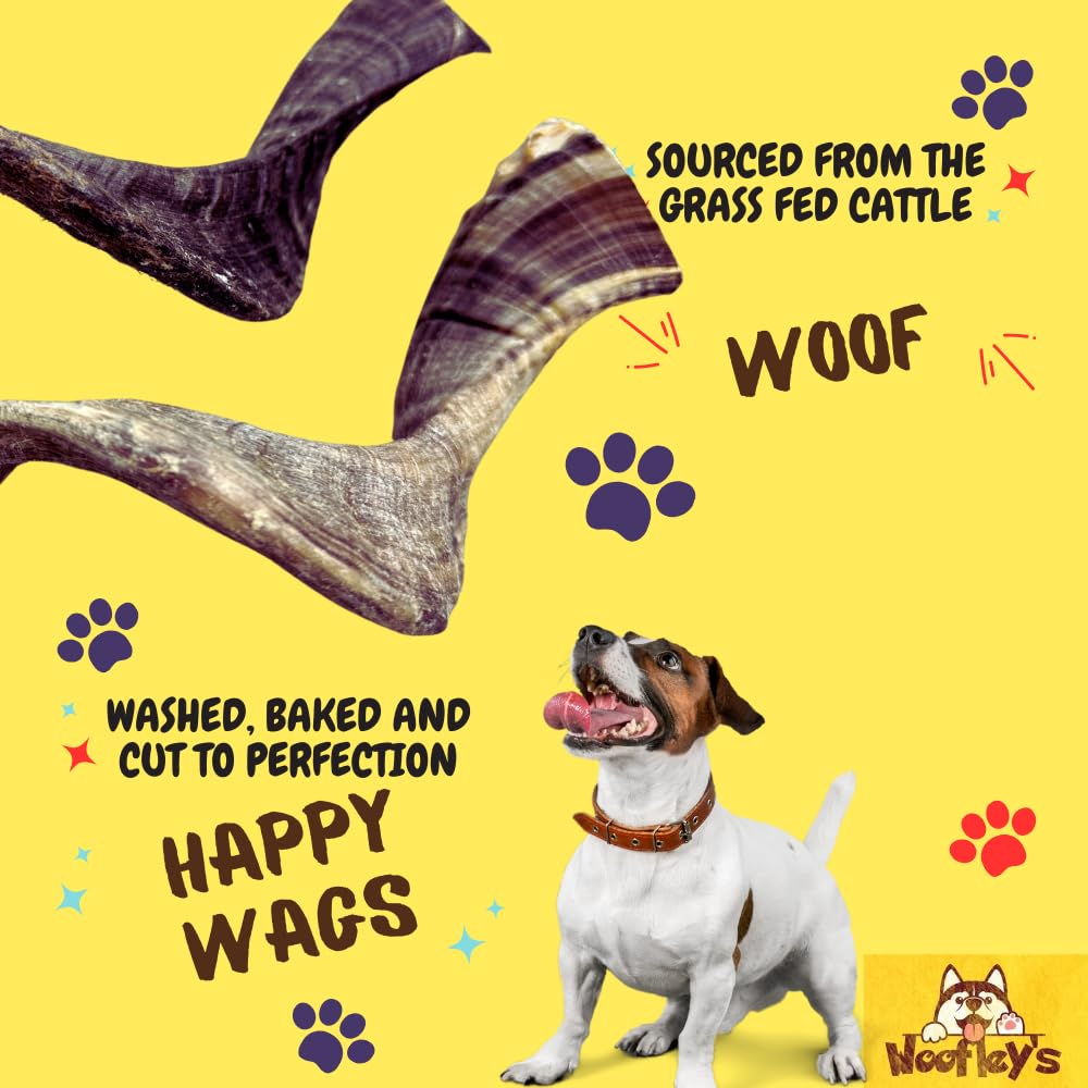 Woofley's Lamb Horn dog chew in action showing interactive chewing session.