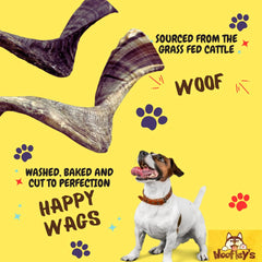 Woofley's Lamb Horn dog chew in action showing interactive chewing session.