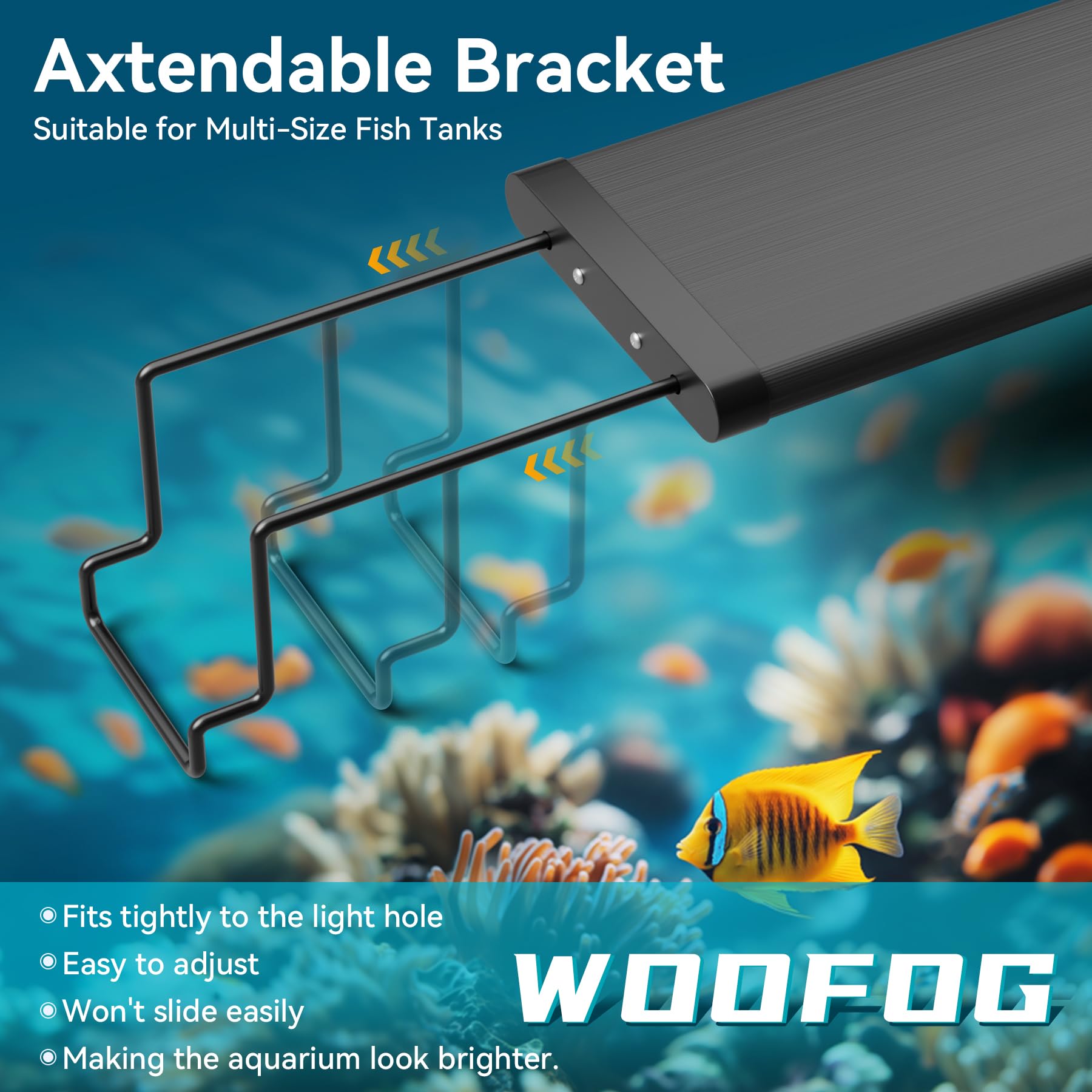 WooFog universal-fit riser in rimmed and rimless tanks supporting LED lights