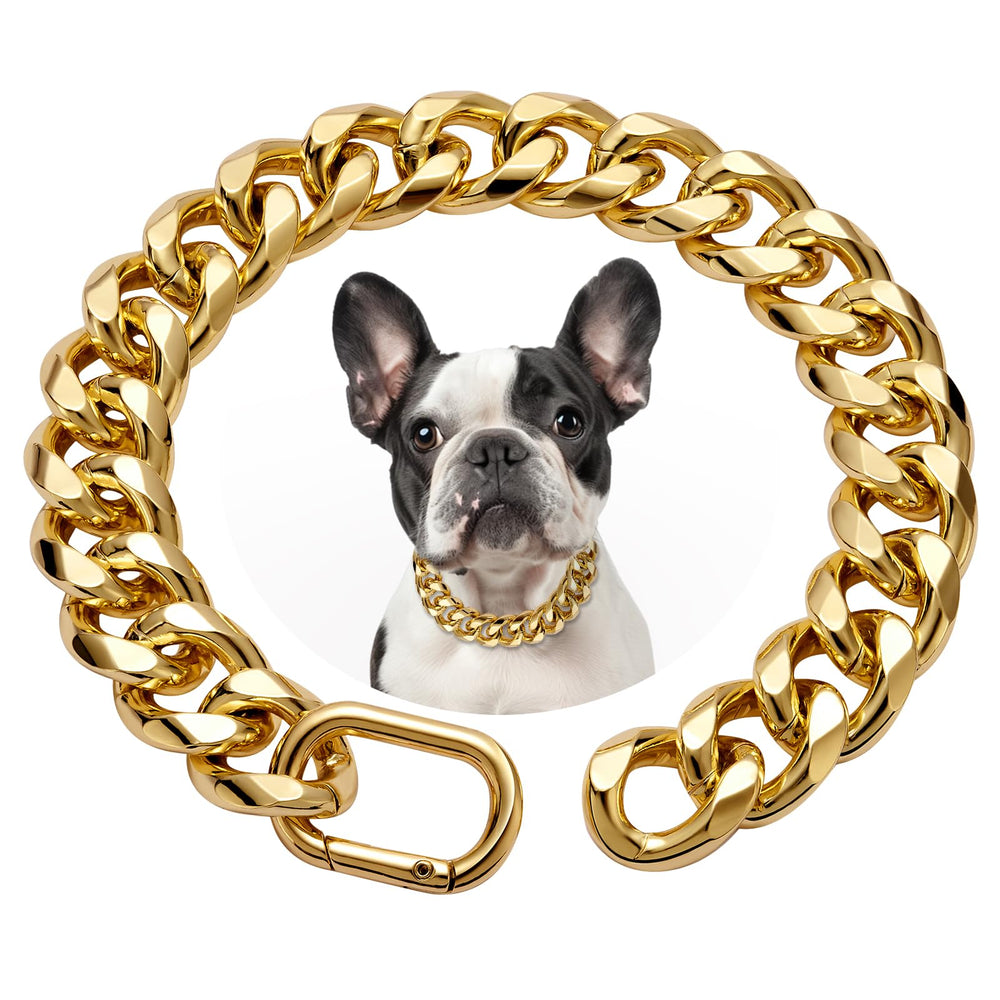 WOOFUU 19mm gold Cuban link collar on a small dog for secure daily wear