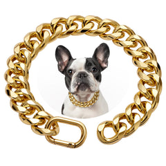WOOFUU 19mm gold Cuban link collar on a small dog for secure daily wear