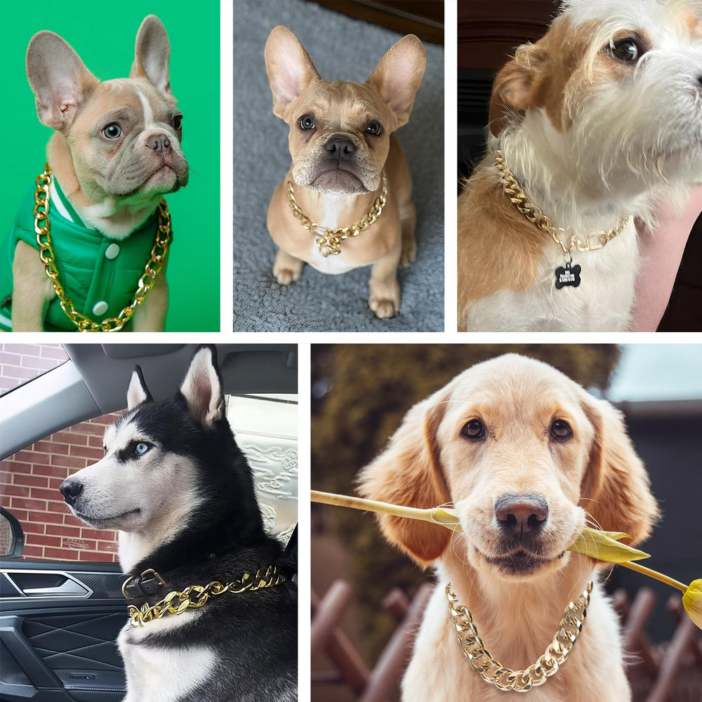 Dog walking scene with WOOFUU gold collar emphasizing secure control