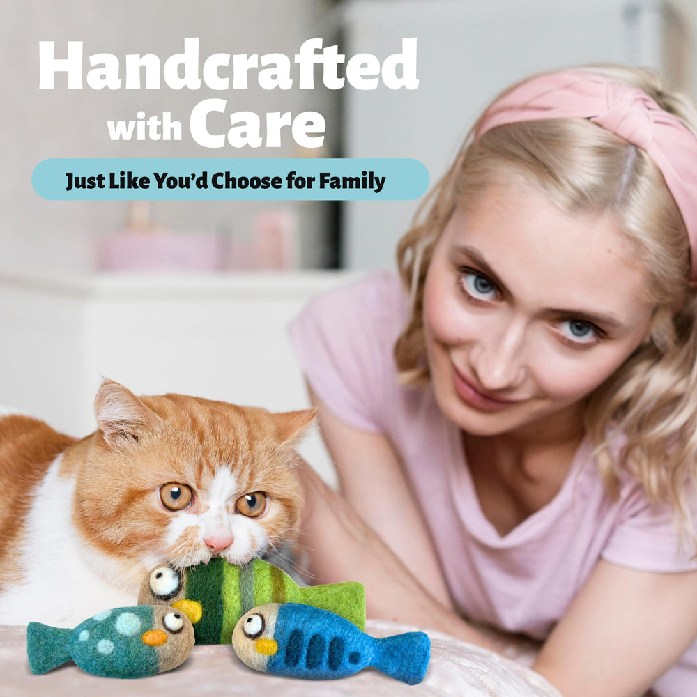 Woolbuddy eco-friendly cat toy gift set for thoughtful enrichment.