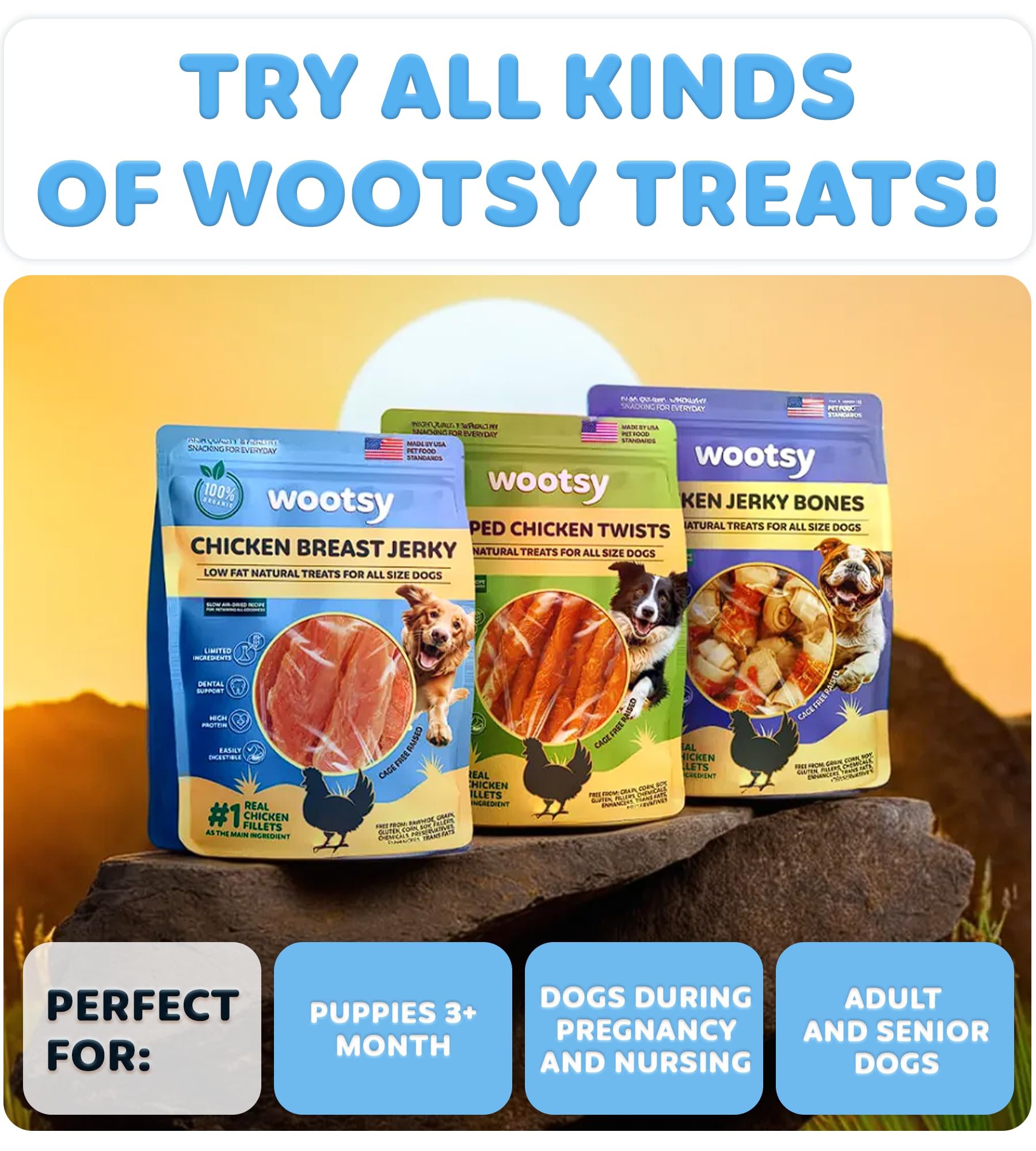 Wootsy jerky serves as reward during training, boosting engagement.