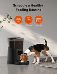 WOPET 6L automatic feeder safety lock keeps meals secure from curious pets