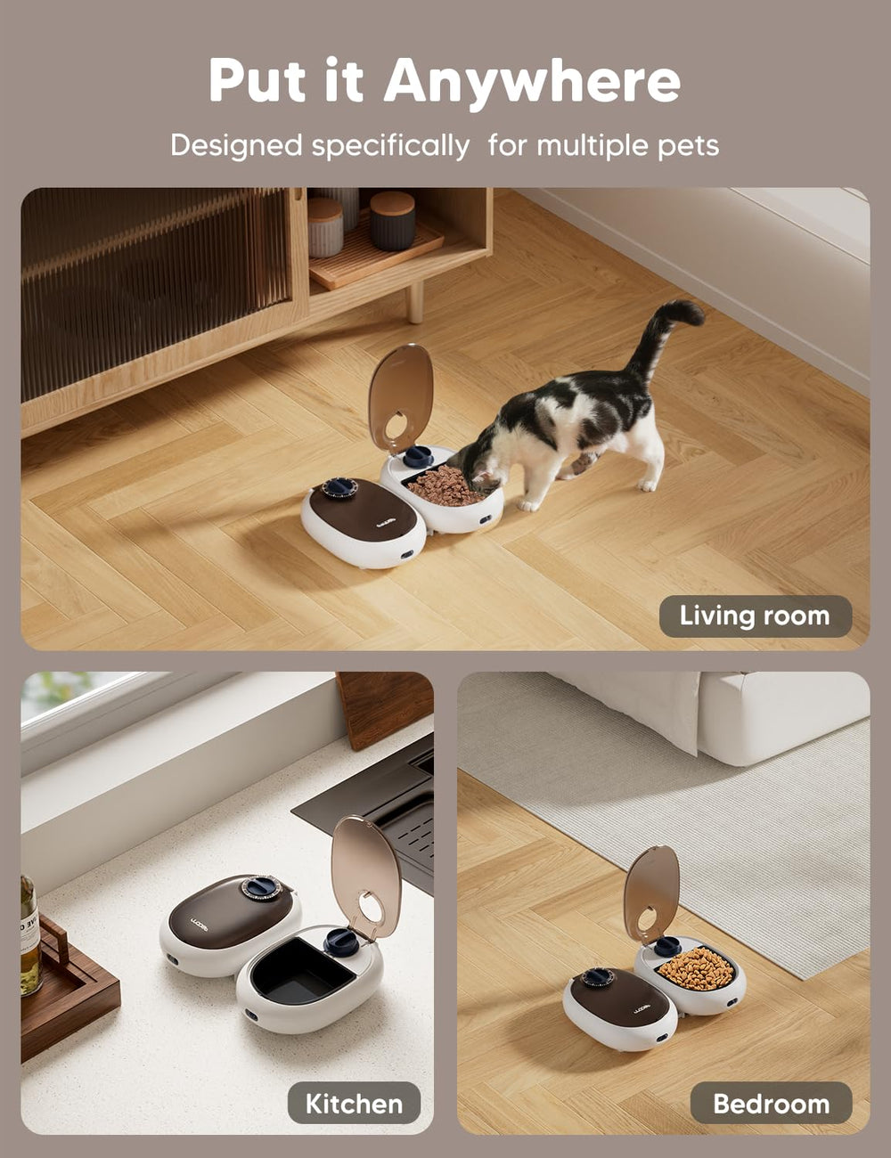 WOPET ice pack and food tray setup maintains freshness during meals.