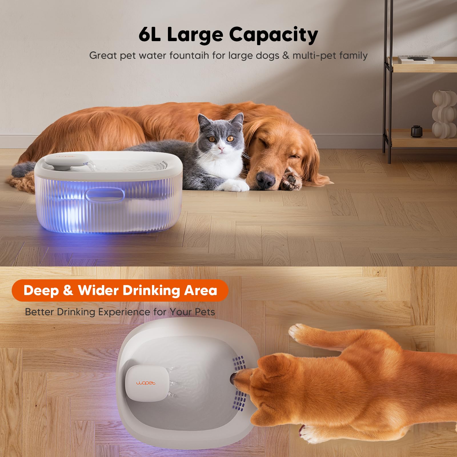 WOPET visual water level window for easy top-ups.