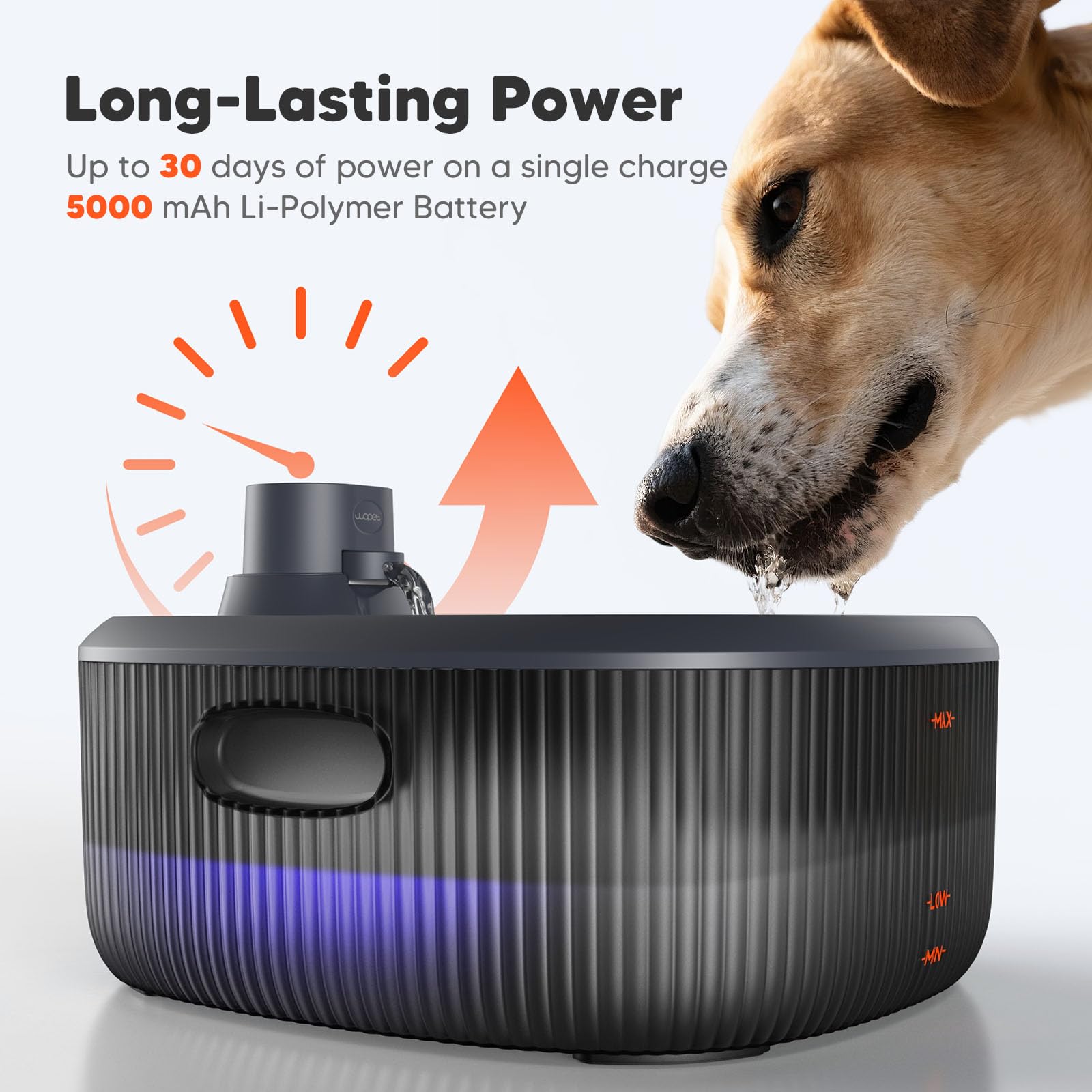 WOPET wireless dog fountain whisper-quiet pump stays nearly silent.