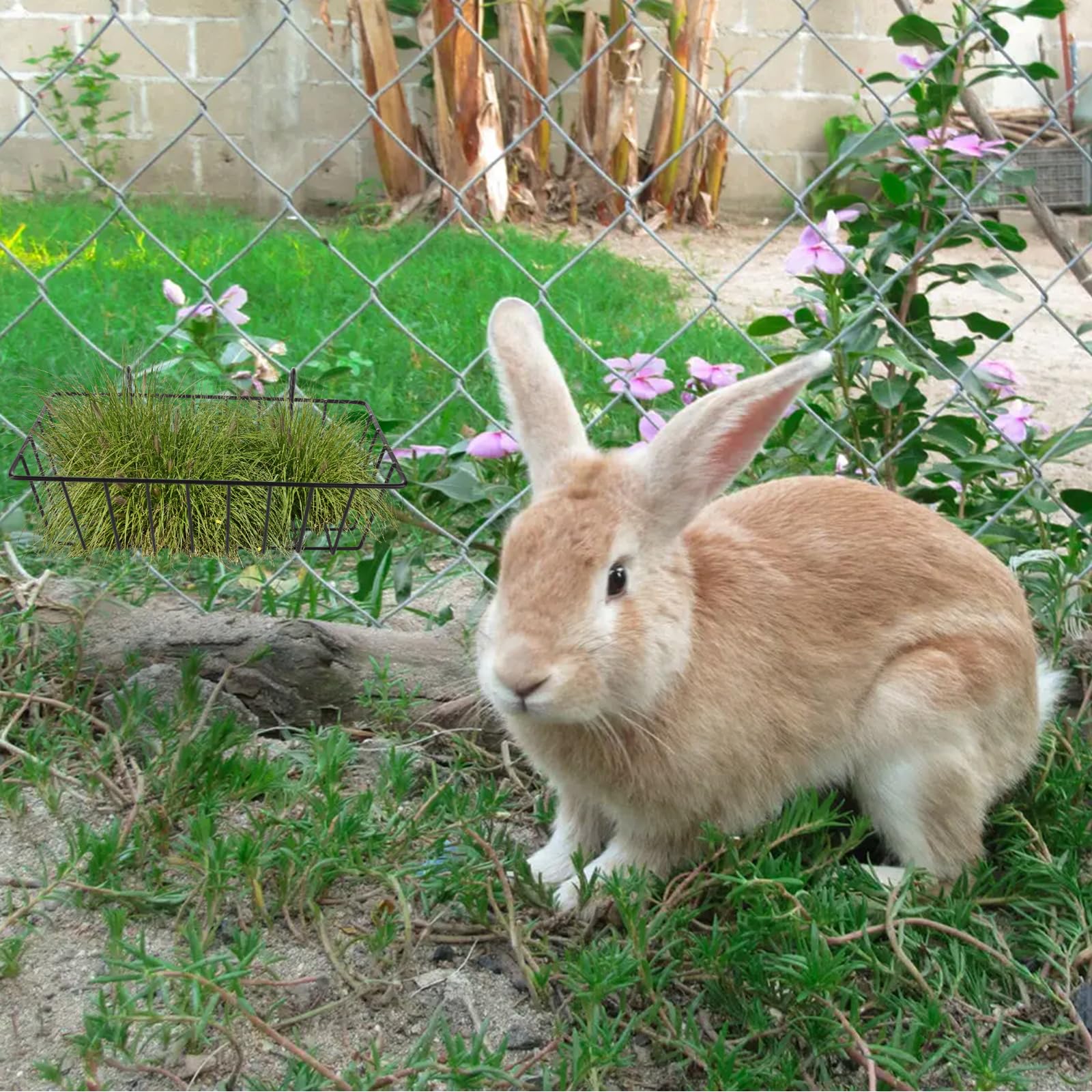 WOPPLXY rabbit hay feeder suitable for rabbits and guinea pigs