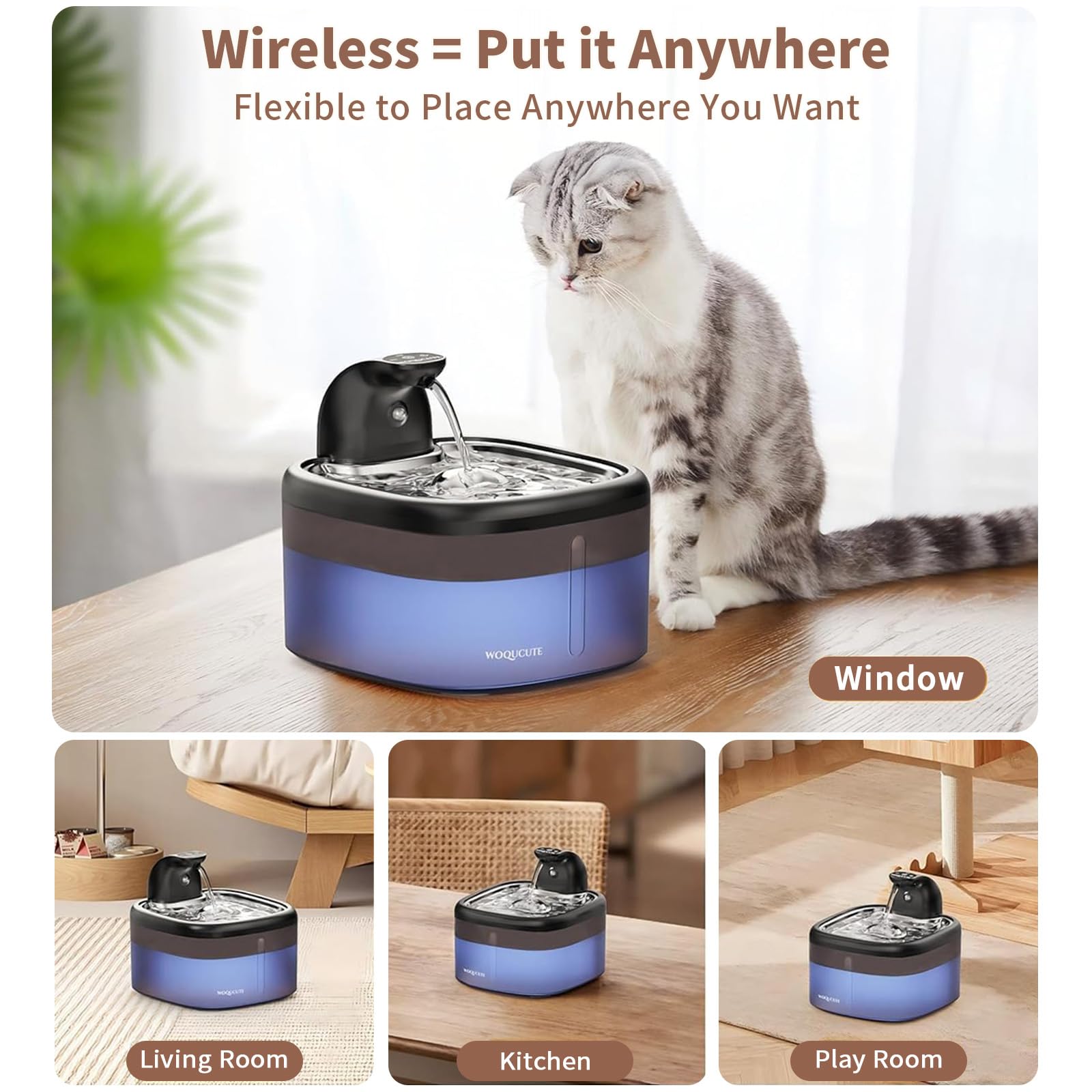 Woqucute night-light helps visibility as your cat drinks at night.