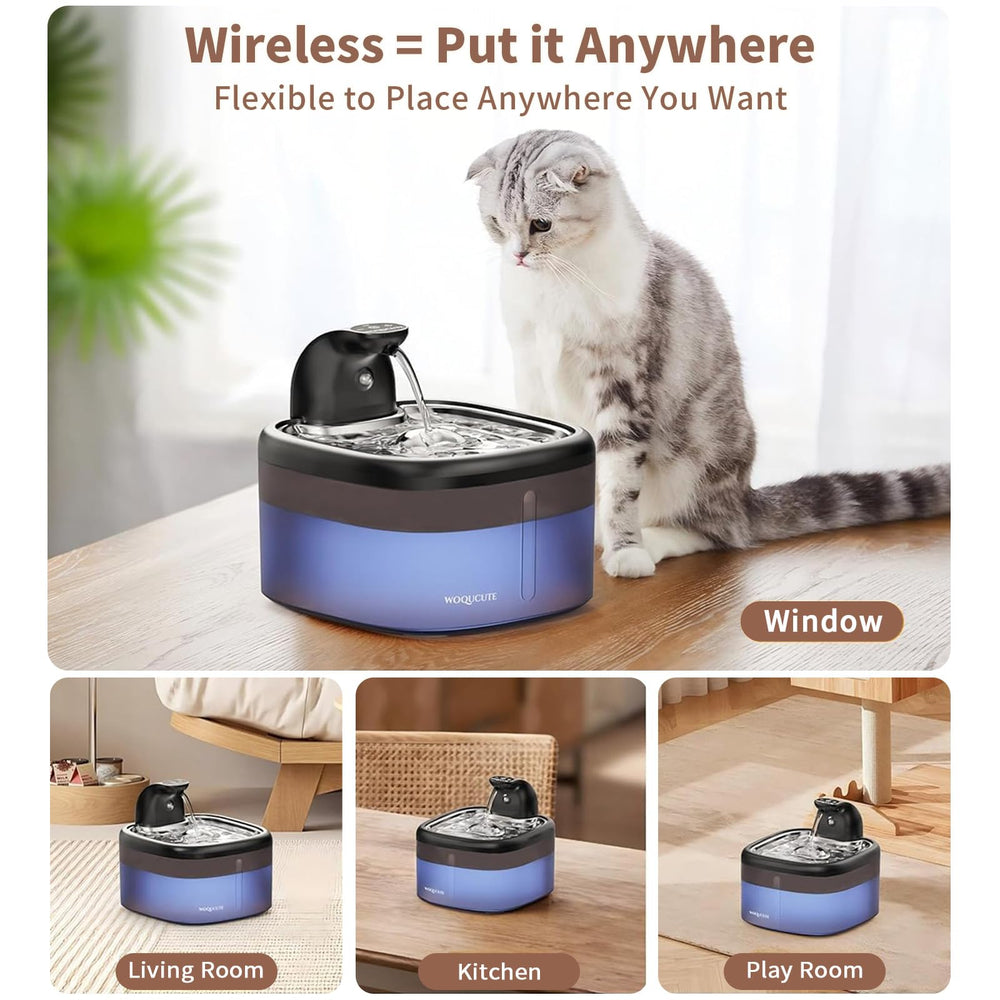 Woqucute night-light helps visibility as your cat drinks at night.