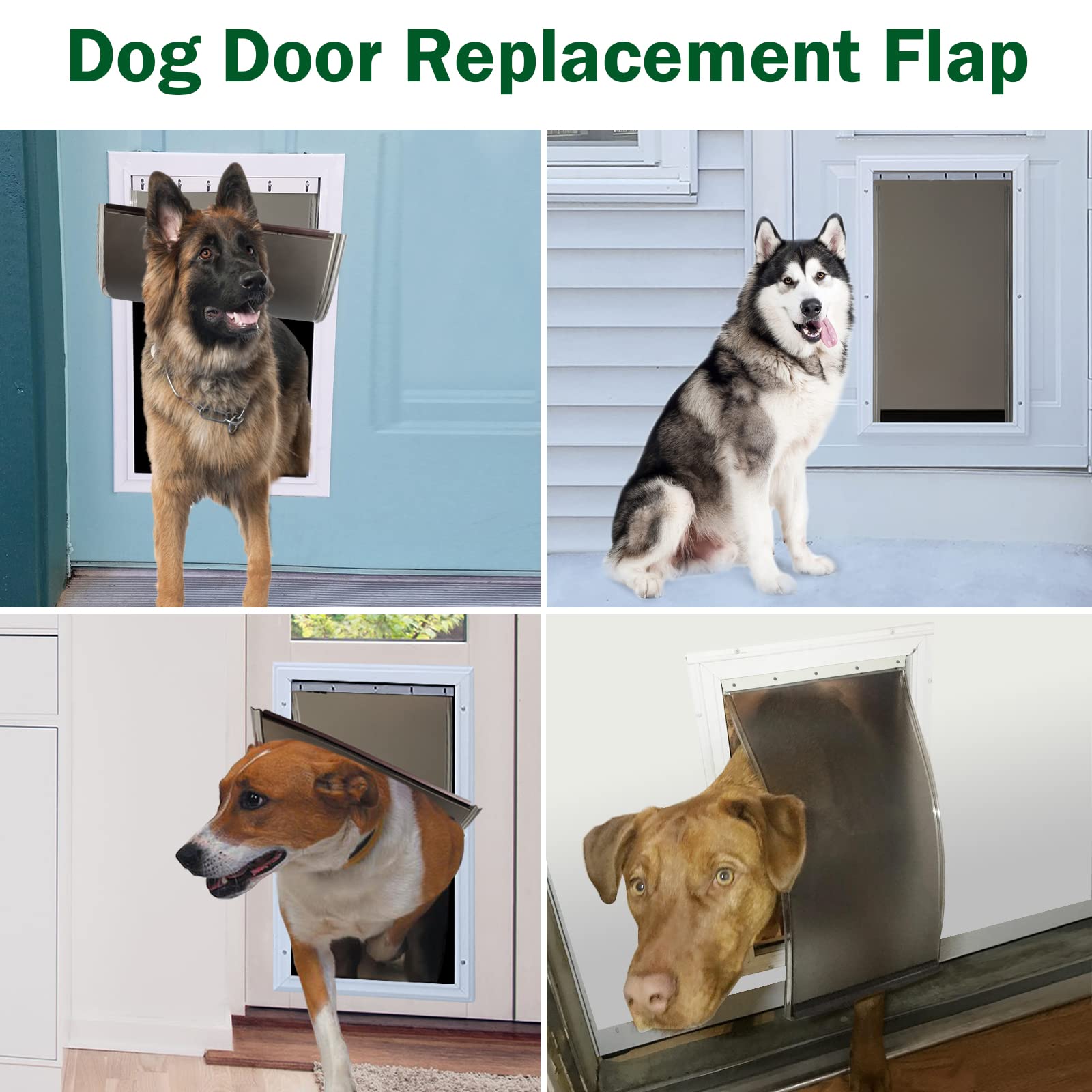 Wordcam dimensions 16 7/8 by 10 1/8 inches for medium to large dogs