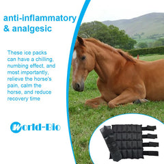 WORLD-BIO horse ice pack large size designed for extended coverage.