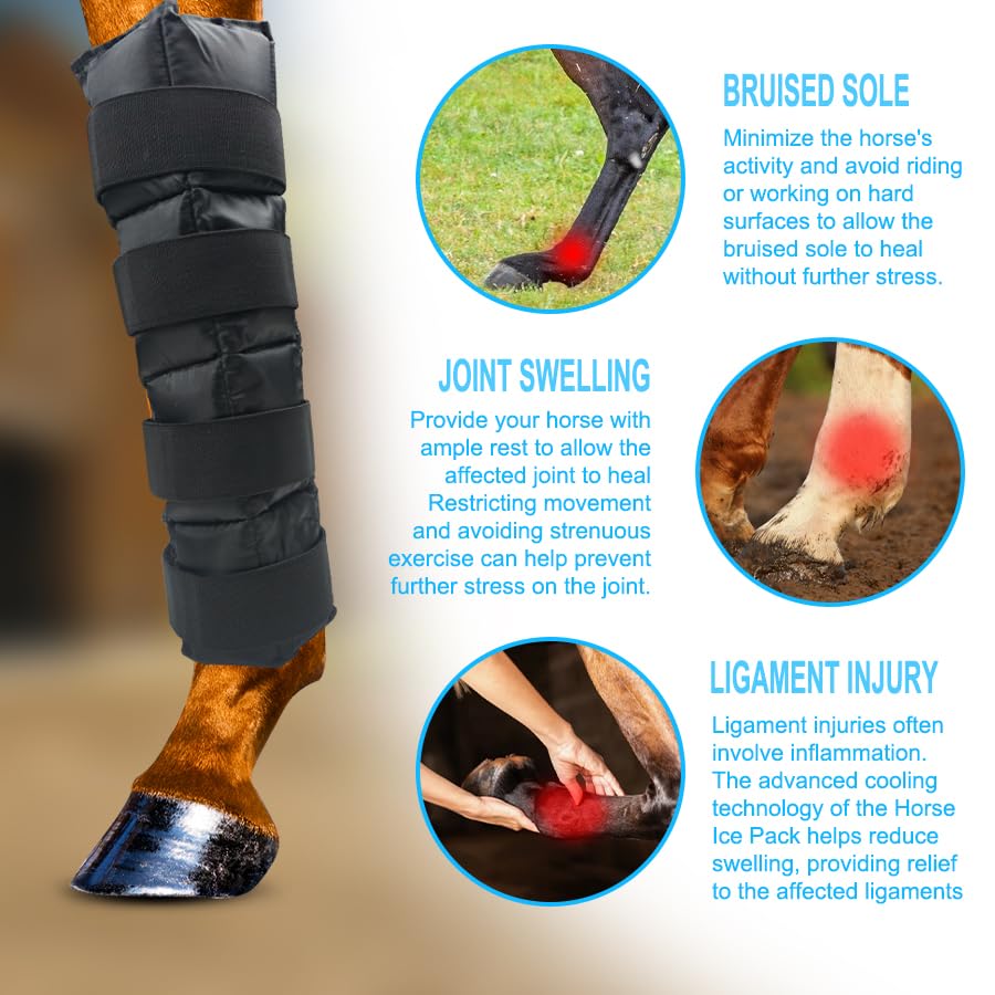WORLD-BIO ice pack with sturdy straps securing the leg.
