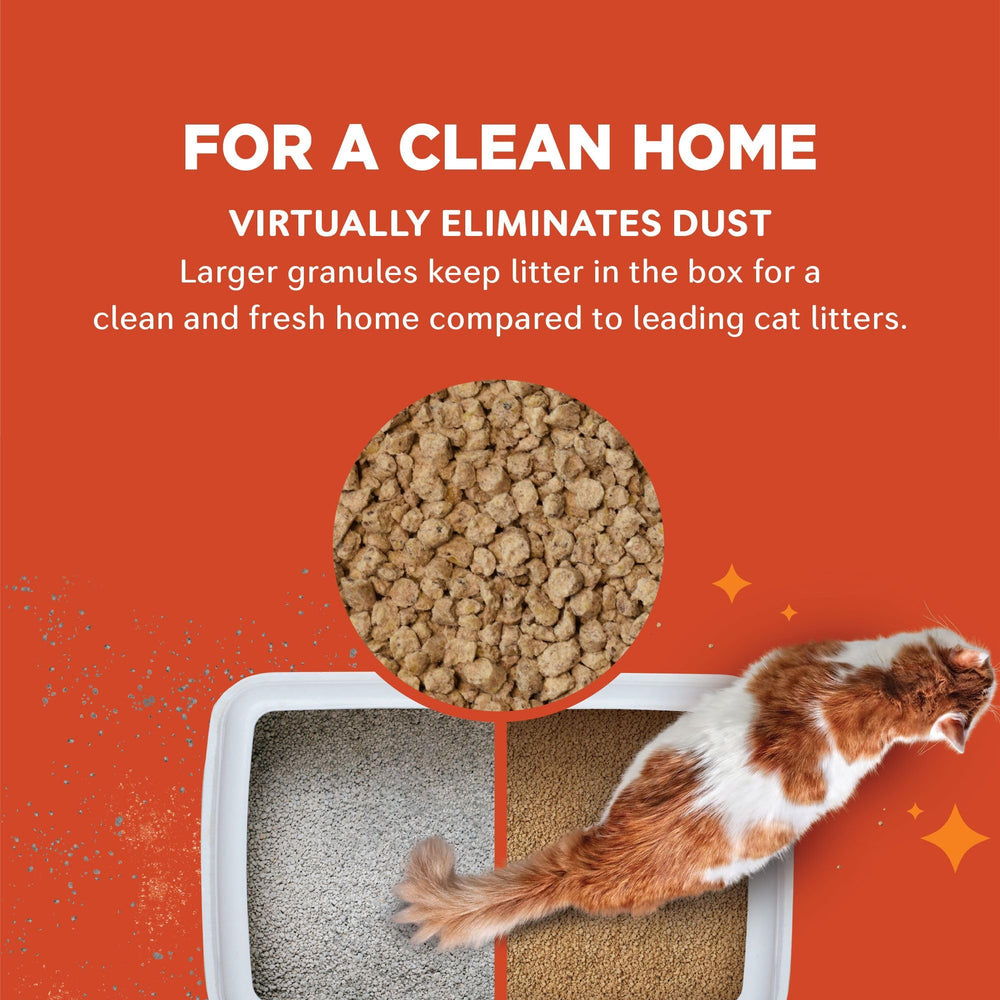 World's Best Cat Litter fast clumping scooping scene improves cleanup.