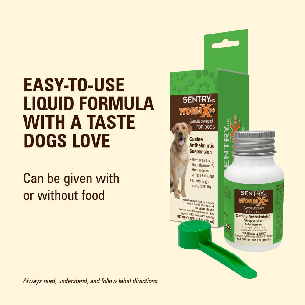 WORM X PLUS dosing scene with a dog owner applying the suspension