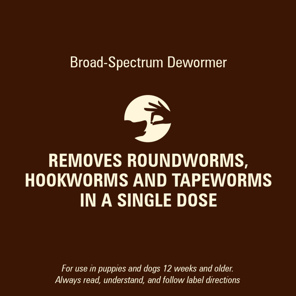 WORM X PLUS for dogs over 25 pounds—visual emphasis on large dogs.