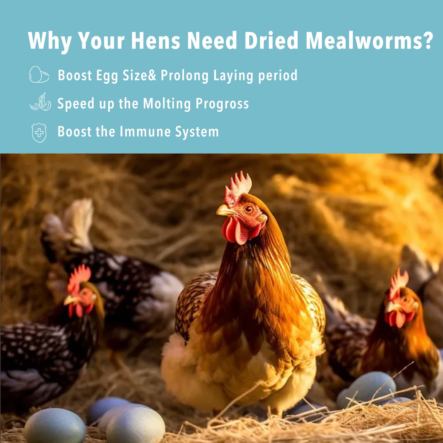 WormsFarm dried mealworms attract wild birds with protein-packed snacking.