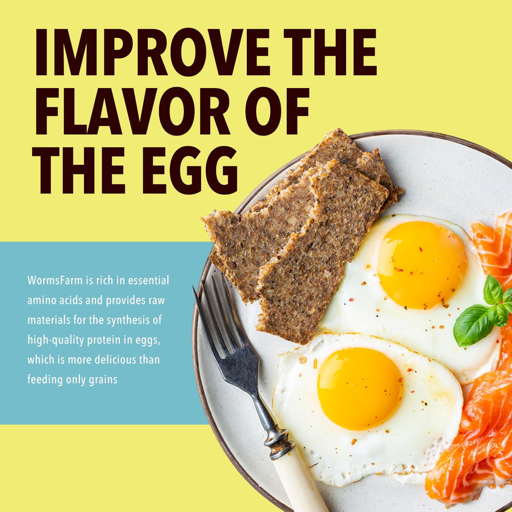 WormsFarm mealworms kept in storage show crisp texture.