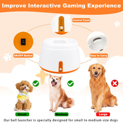 Wortade balls 6-pack showing durable 2.2-inch balls for energetic fetch