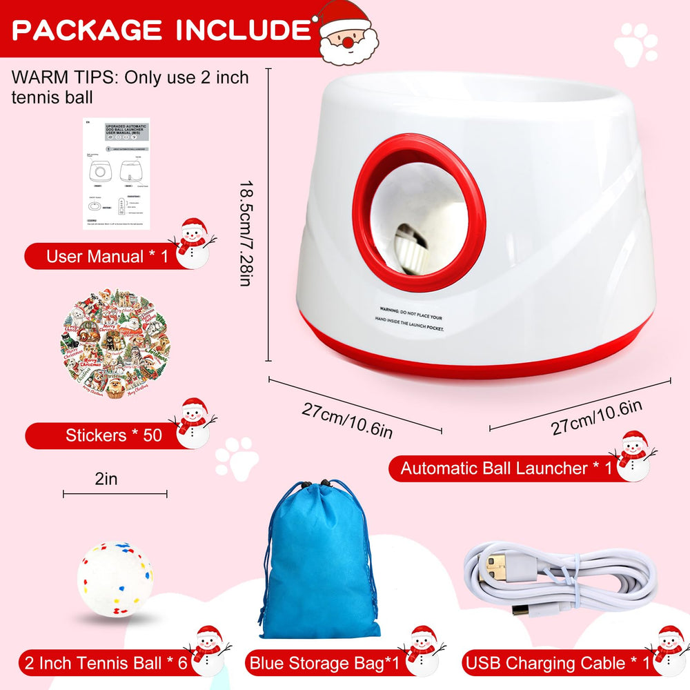 Wortade dog-fetch action highlighting outdoor excitement and healthy exercise.