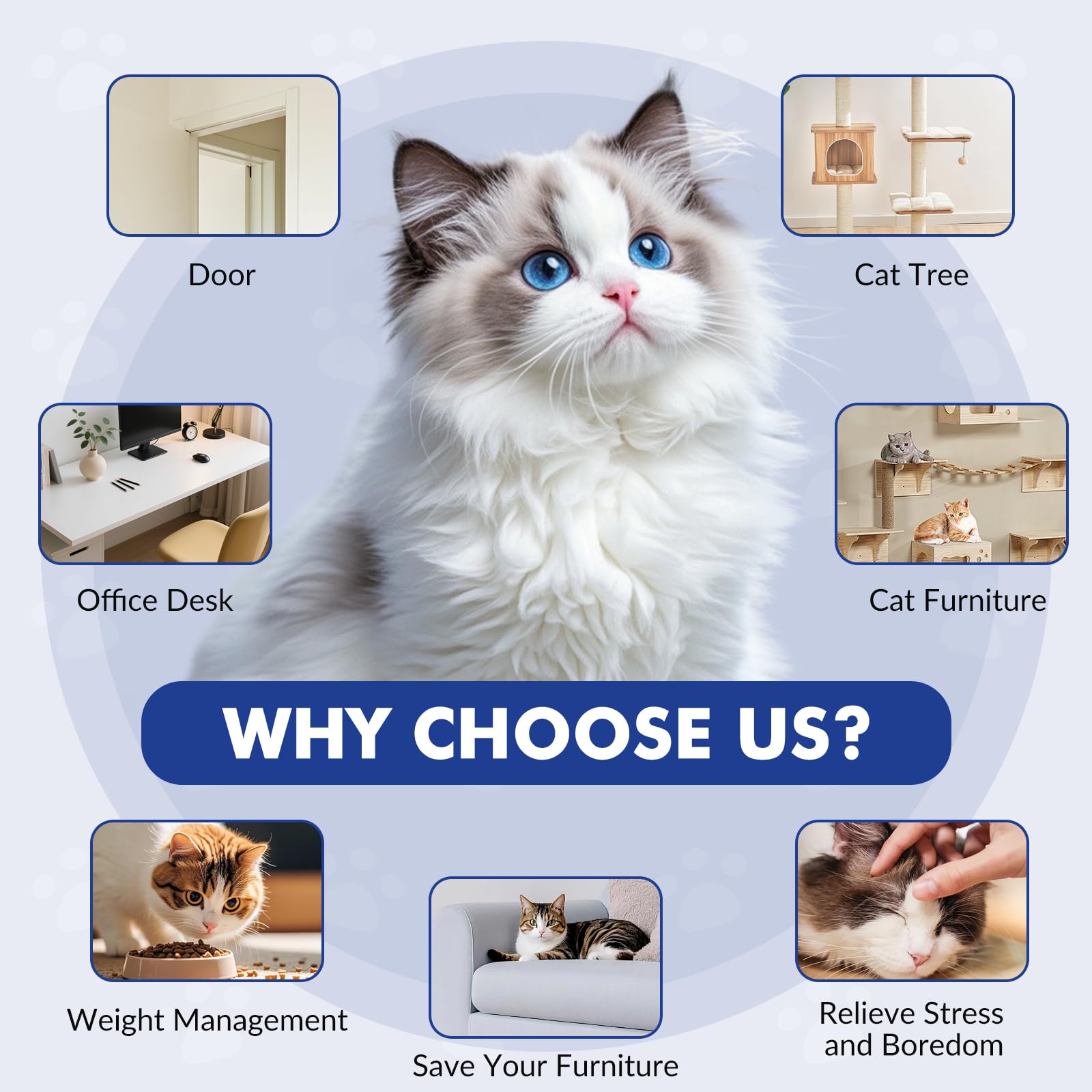 Wortade Interactive Cat Toy quiet operation suitable for timid cats during quiet hours