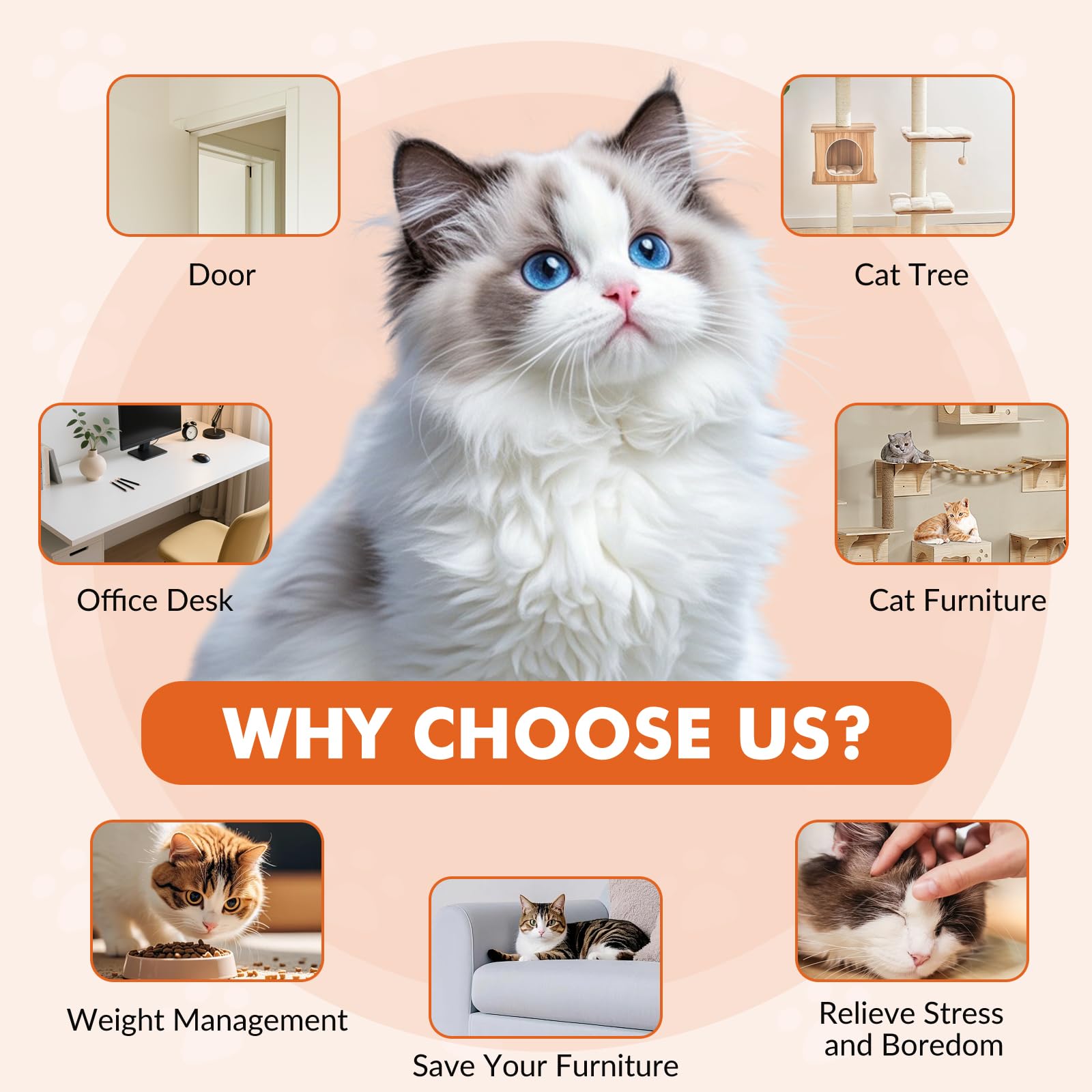 Wortade interactive cat toy rechargeable-battery enables quiet operation for calm cats during play.