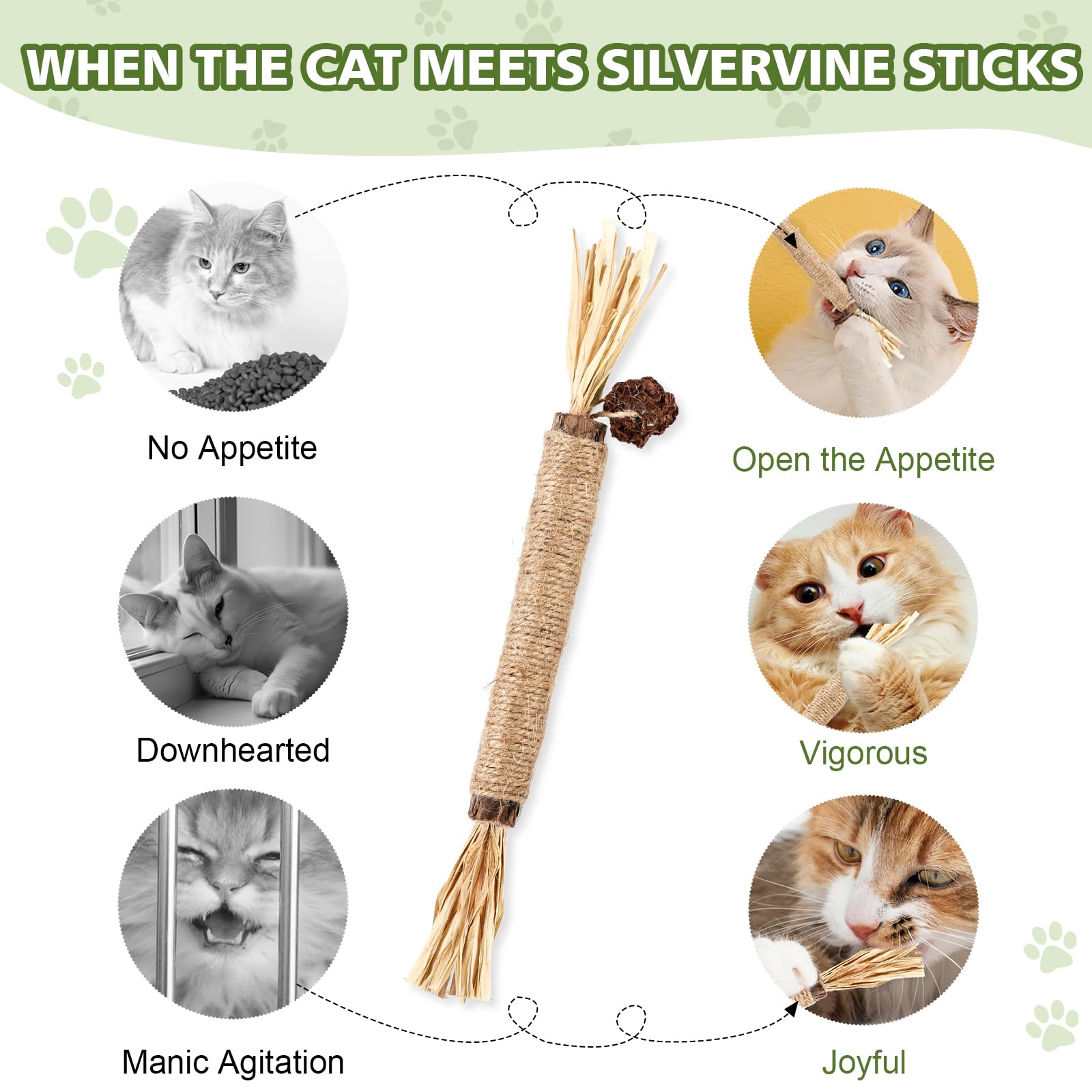 WOUSEDO silvervine sticks support digestion and appetite through fiber-rich play