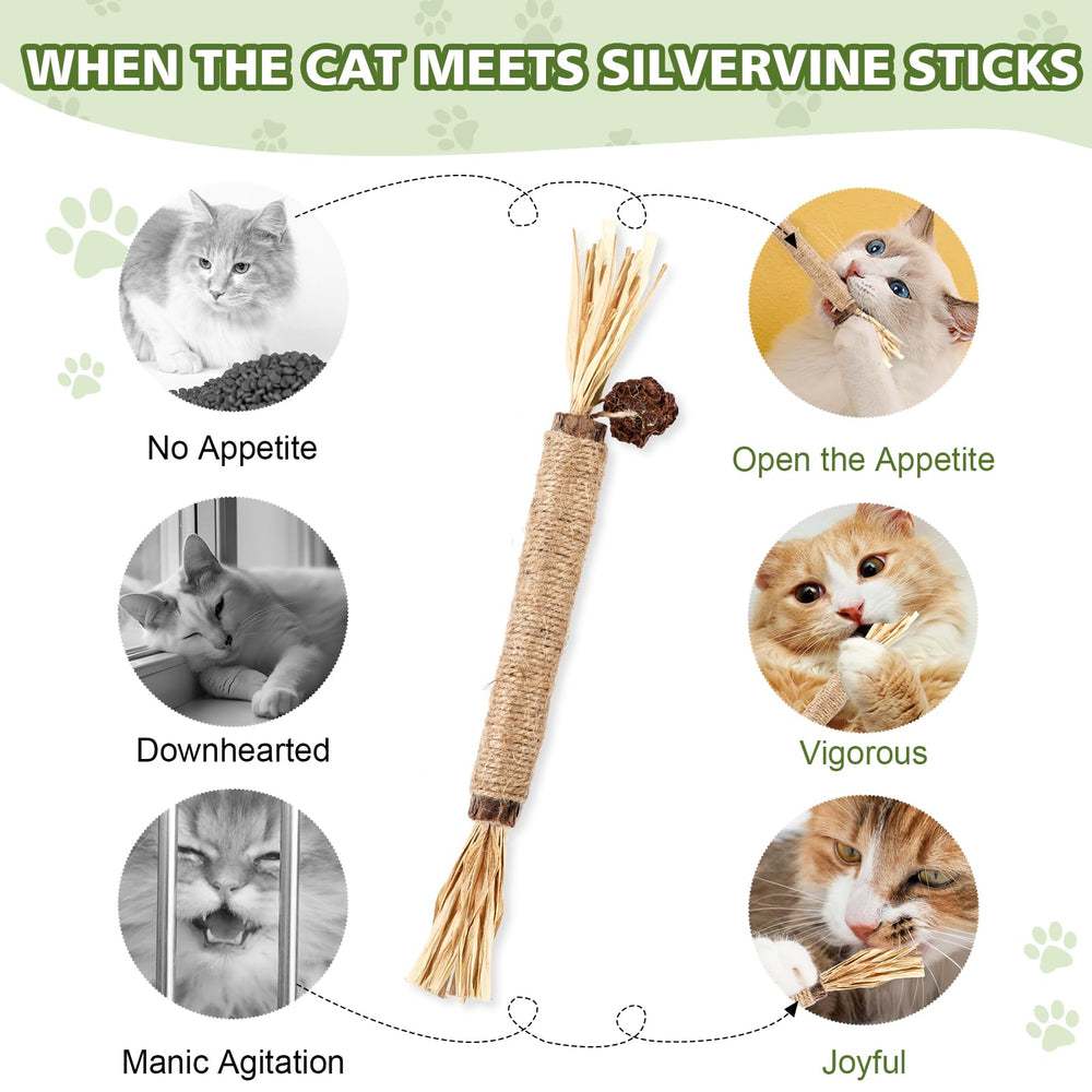 WOUSEDO silvervine sticks support digestion and appetite through fiber-rich play