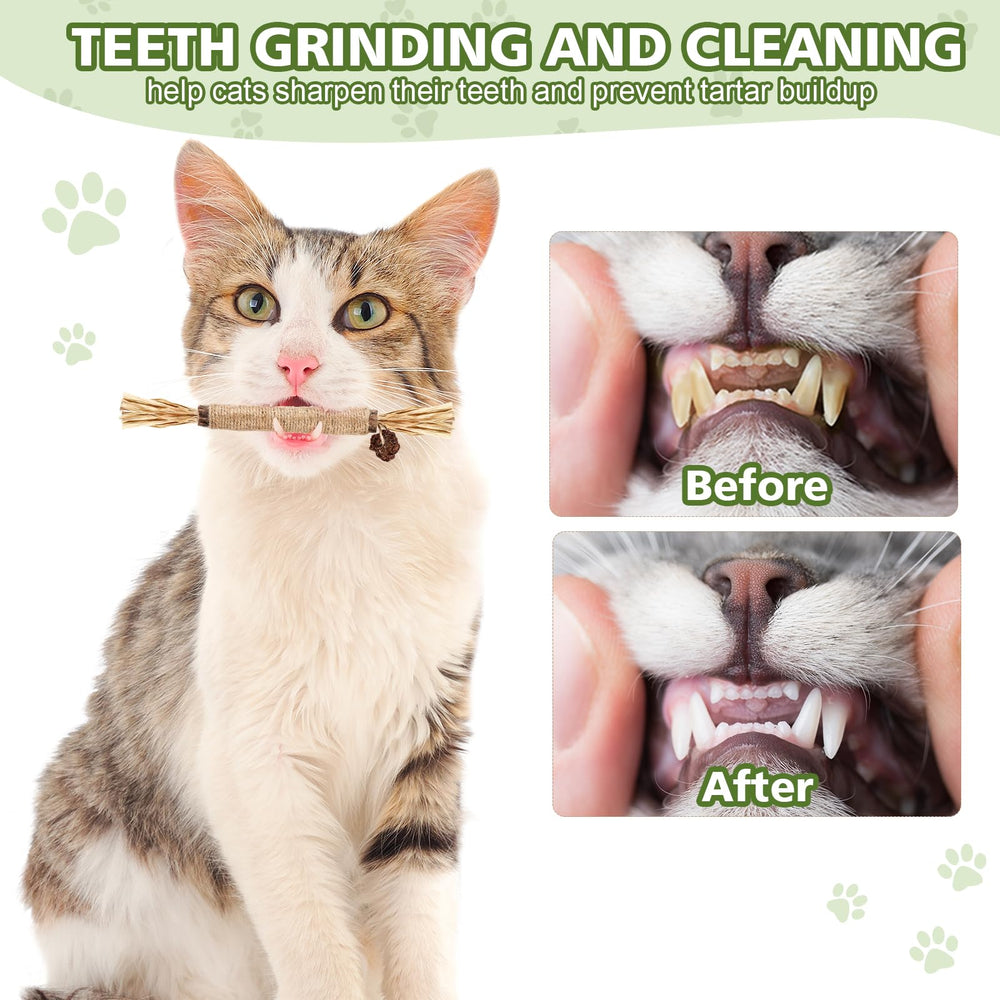 WOUSEDO dental-care inspired toy supports teeth cleaning during chewing sessions