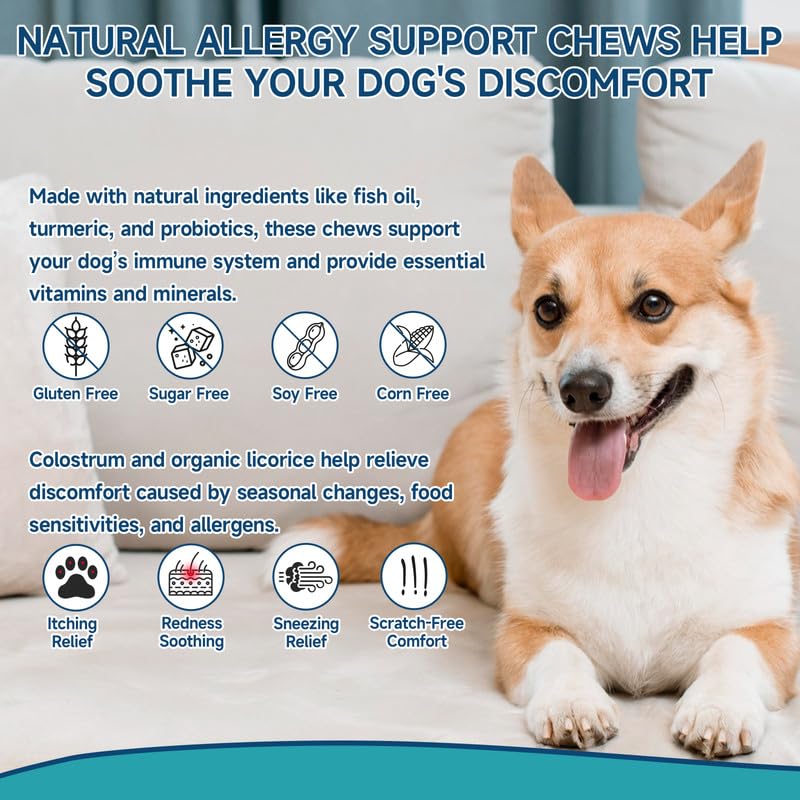 Woyamay 200 dog allergy chews eating time—easy daily administration.
