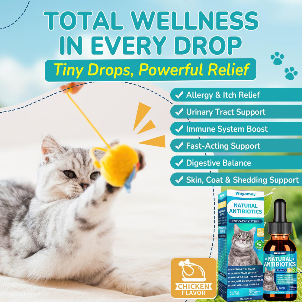 Woyamay antibiotics for cats cranberry ingredient highlights immune-friendly botanicals for gentle daily care