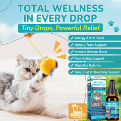 Woyamay antibiotics for cats cranberry ingredient highlights immune-friendly botanicals for gentle daily care