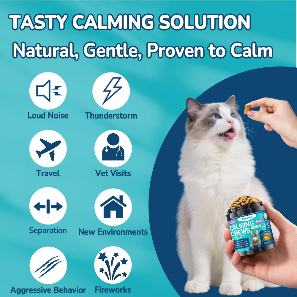 Woyamay cat calming treats chew closeup crunchy-shell highlights textured shell for snack appeal.