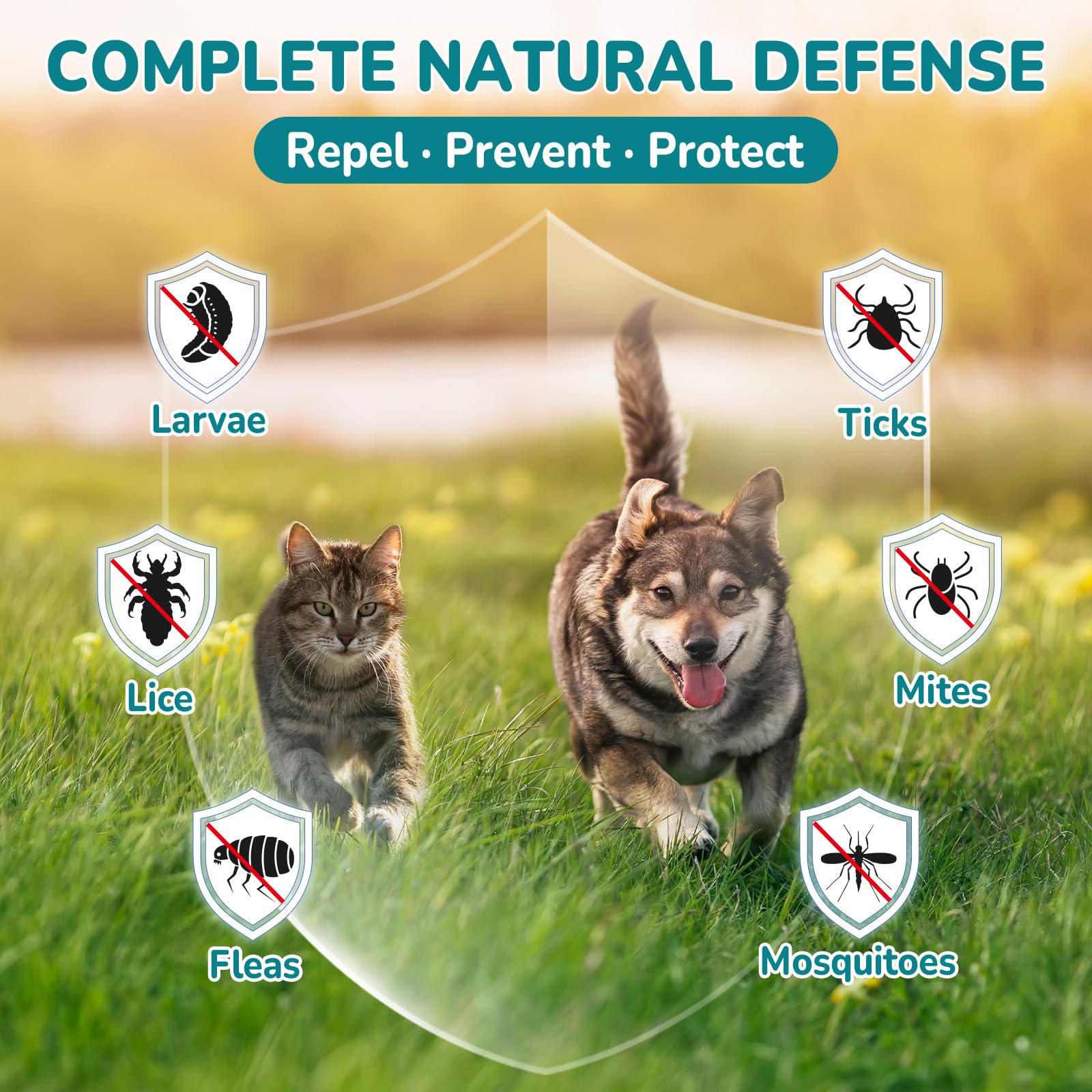 Woyamay cat and dog friendly packaging highlights all-in-one care for households.