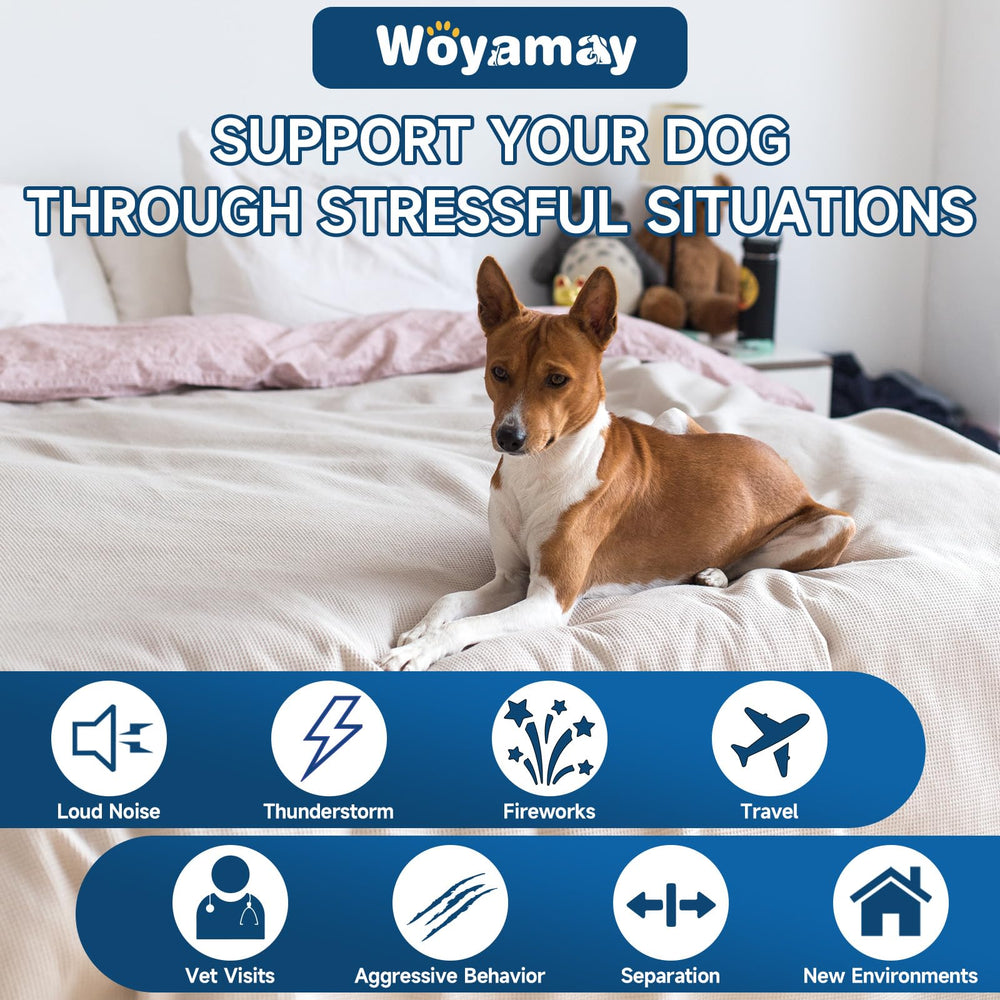 Woyamay chicken-flavor soft chews entice picky eaters while promoting relaxation.