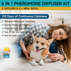 Woyamay diffuser in room setup showing tranquil scent aiding pet comfort.